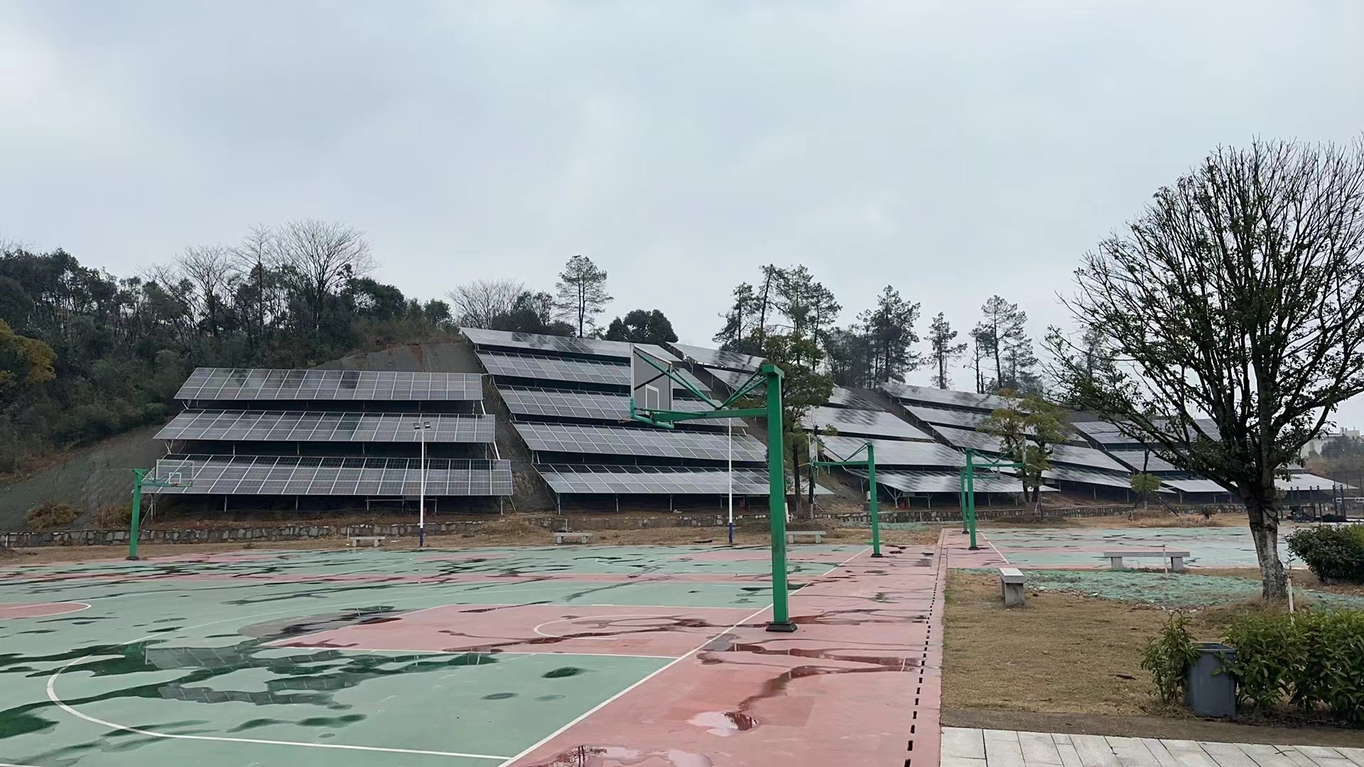 澳门铁盘算盘490777